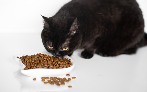 KEDİ-MAMALARINDA-TAURİN6.jpg