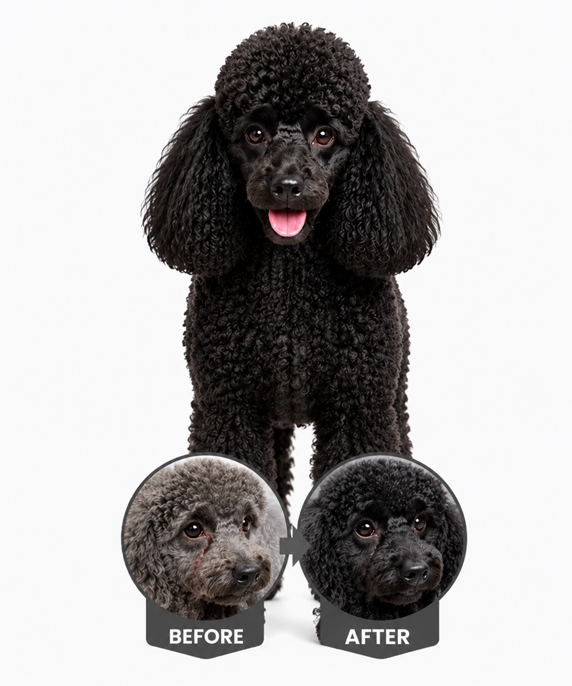 ChatGPT-Image-2-Eyl-2026-14_20_08-1.png