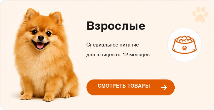 pomeranian-red-adult-ru-714x369.png
