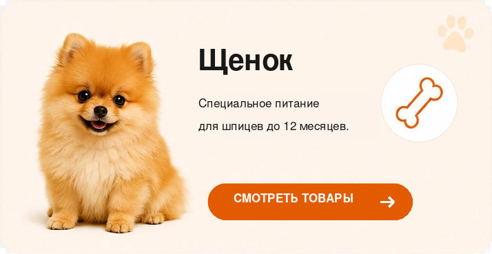 pomeranian-red-puppy-ru-714x369.png