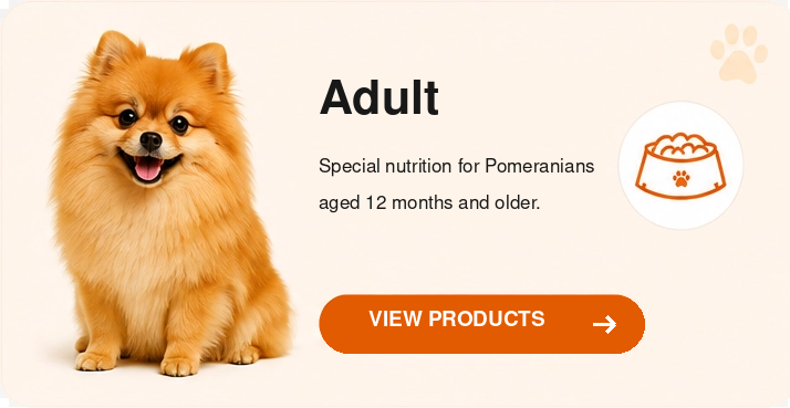 pomeranian-red-adult-en-714x369.png