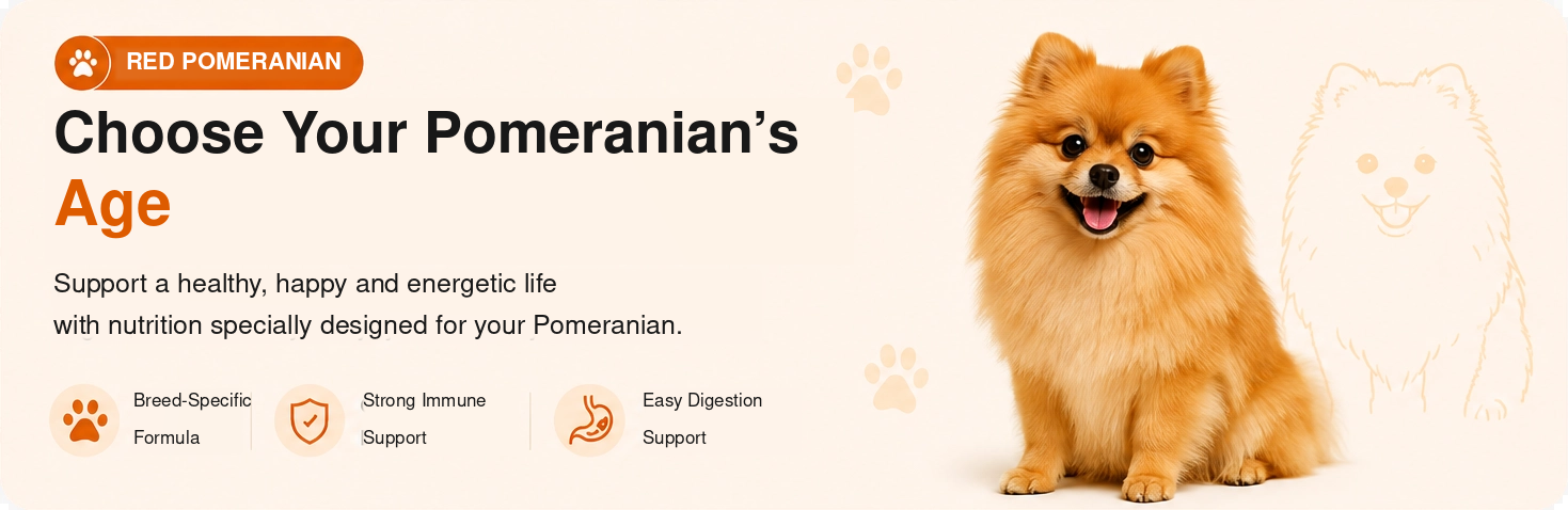 pomeranian-red-banner-en-1469x478.png