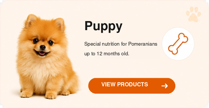 pomeranian-red-puppy-en-714x369.png