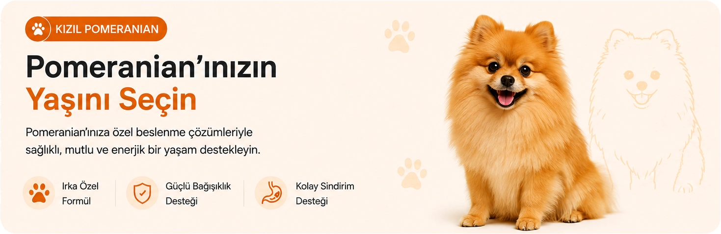 kızılpomeranianbanner.webp