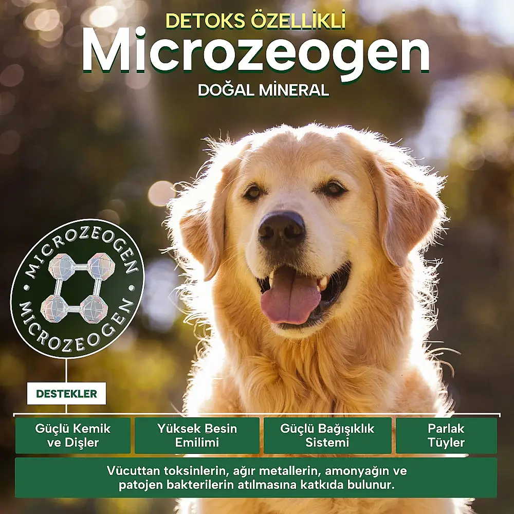Nature's Protection Ekstra Somonlu Yetişkin Köpek Maması 12kg - 3