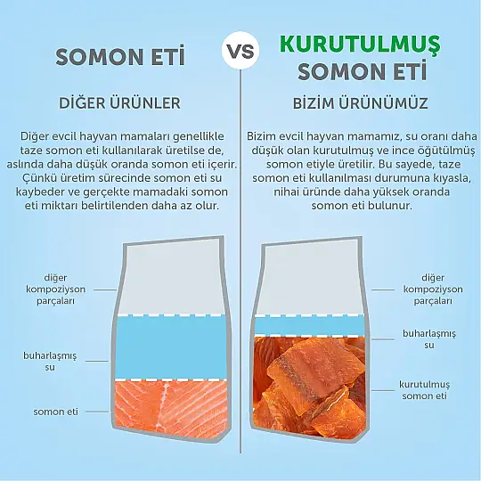 Nature's Protection Ekstra Somonlu Yetişkin Köpek Maması 12kg - 4